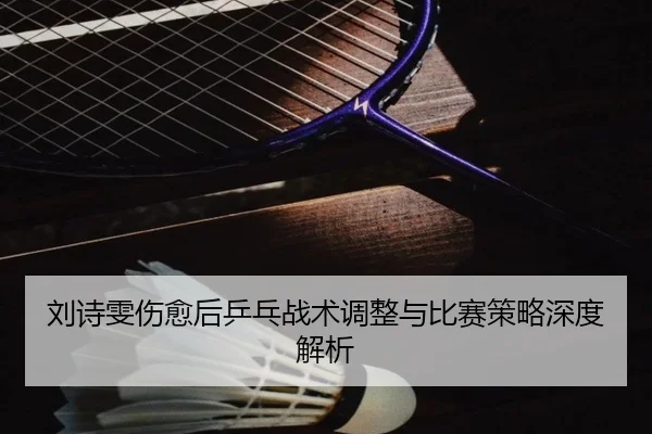 刘诗雯伤愈后乒乓战术调整与比赛策略深度解析